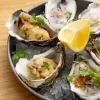 Fresh oysters on ice with lemon wedge, garnished with herbs, served on a plate for a seafood delicacy presentation