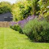 Garden view with neat lawn, purple lavender flowers, wooden picnic table, and green shrubs embracing natural beauty