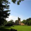 Historic castle ruins surrounded by lush green trees under a clear blue sky with a wooden bench in the foreground