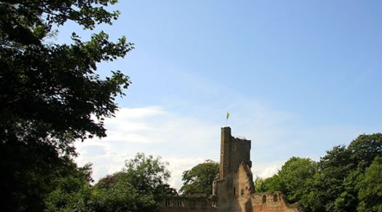 Historic castle ruins surrounded by lush green trees under a clear blue sky with a wooden bench in the foreground