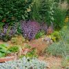 Colourful perennial garden border with diverse plants, including purple, red, and yellow flowers, on a sunny day